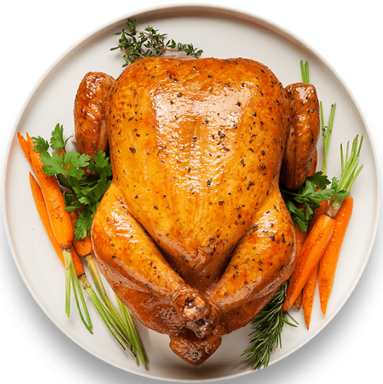 Al%20Jannat%20Shinwari