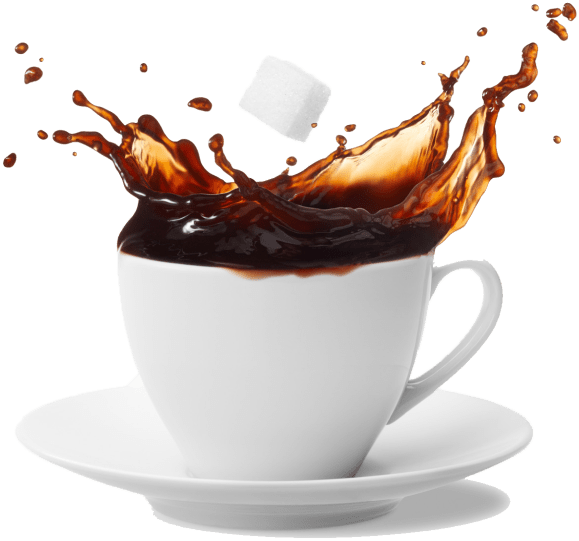 Al%20Jannat%20Shinwari