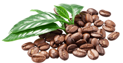 Al%20Jannat%20Shinwari