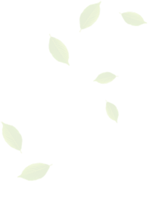 Al%20Jannat%20Shinwari